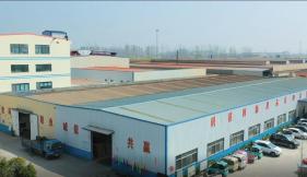 Company profile