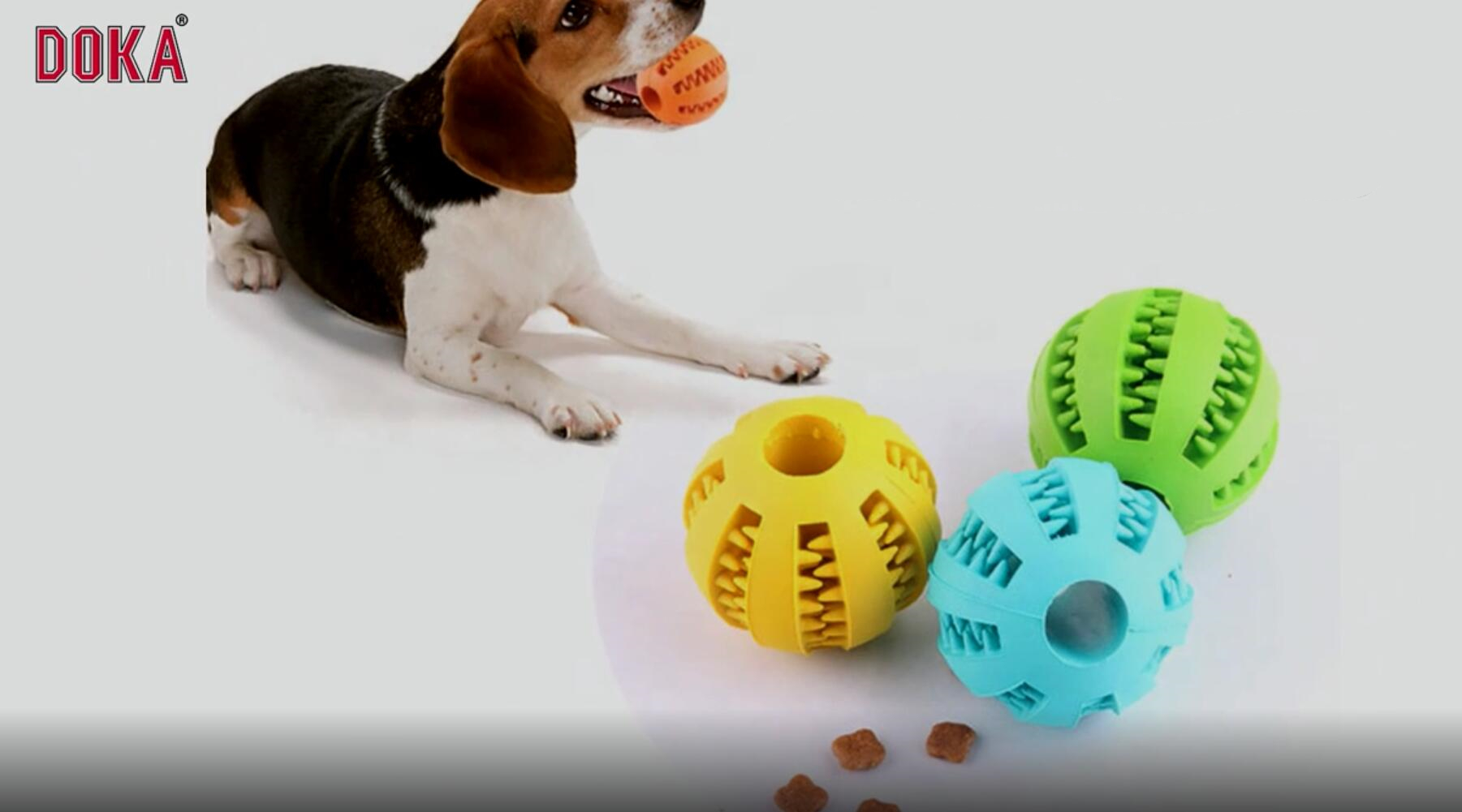 Dog Toy