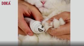 Pet Cleaning&Grooming