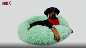 Pet Bed
