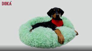 Pet Bed
