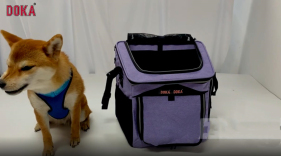 Pet Carrier
