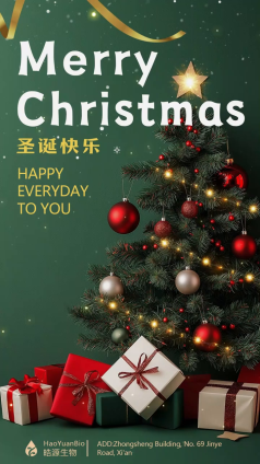 Merry Christmas, my friends!