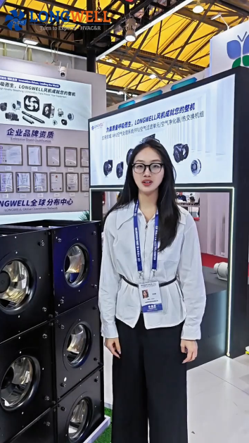 Longwell Centrifugal Fan Wall: The New Standard in Efficient Ventilation