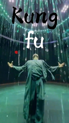 Dubai AYA | When Chinese kung fu meets the digital water curtain...