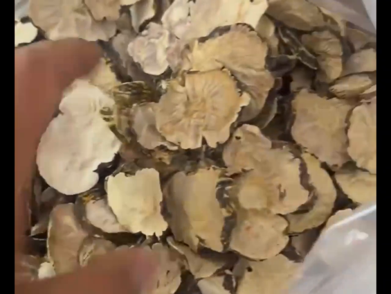 Maca raw materials display
