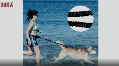 Hands free bungee reflective dog running  leash with adjustable waist belt