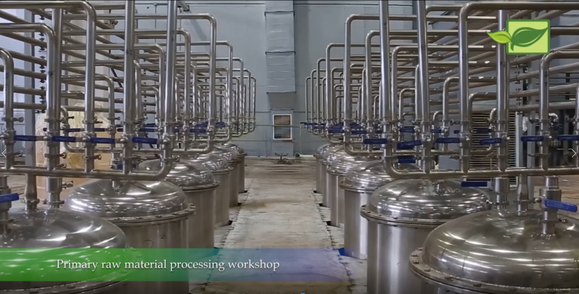 Our factory