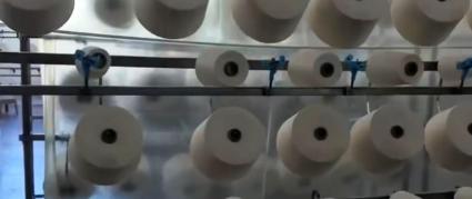 ​Breathable 100% Cotton Jersey Fabric