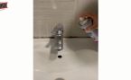 Stainless Steel Aerosol Cleaning and Polish Cleaner & Protector Spray