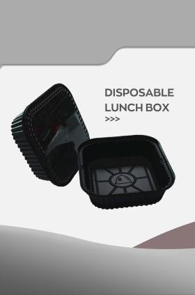 Disposable lunch box