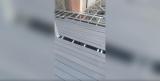 Case Display