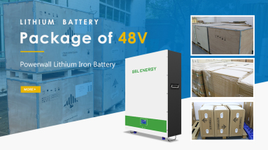 Factory Packing Powerwall LiFePO4 Tesla Power Wall Lithium Iron Phosphate Battery 48V Battery Pack