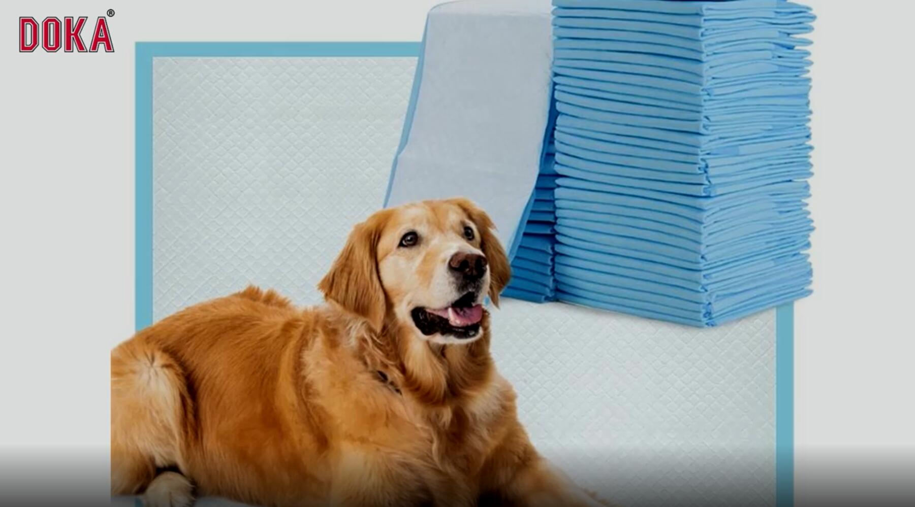 6-layer leak-proof quick dry charcoal disposable puppy pet training pad