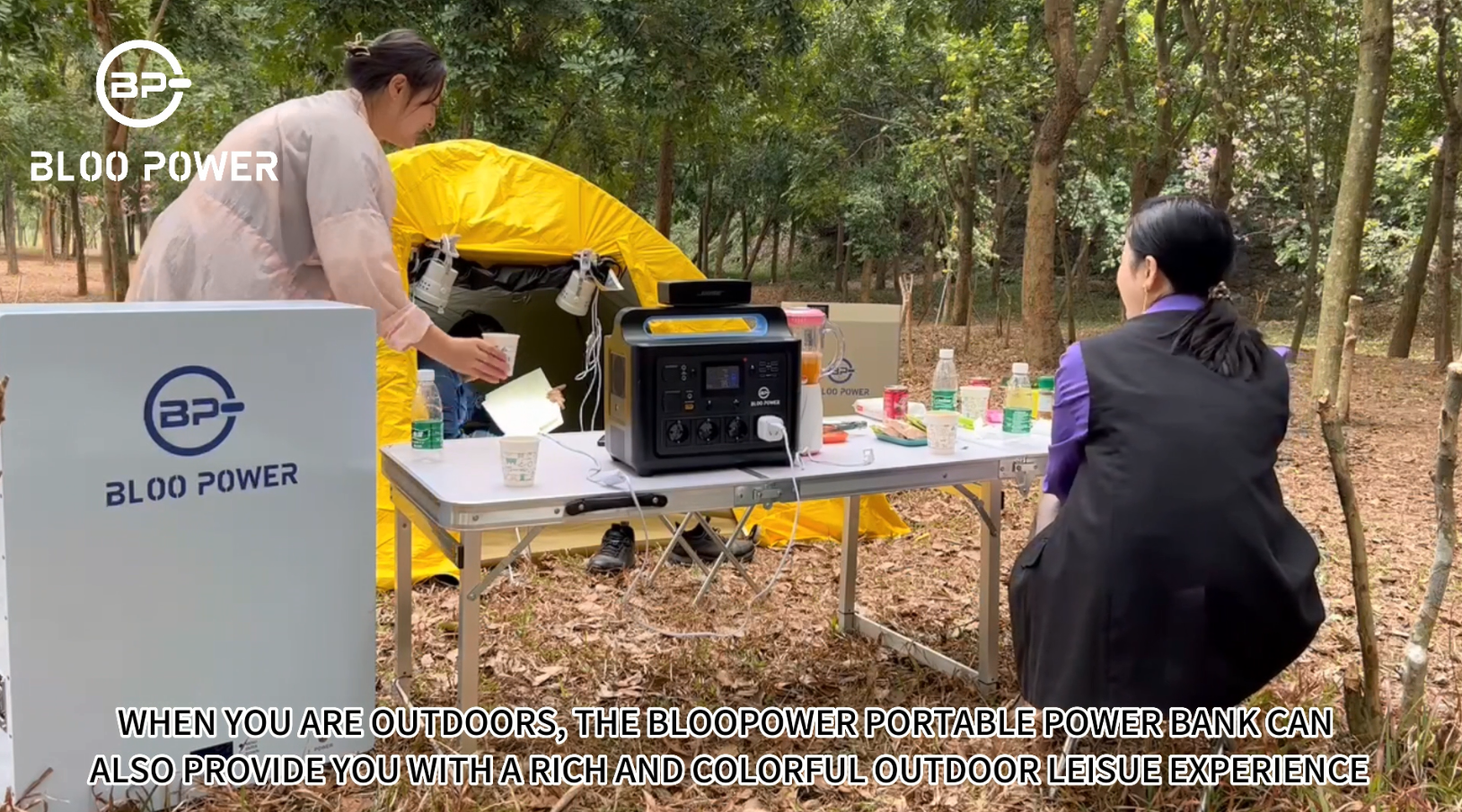 portable lithium battery