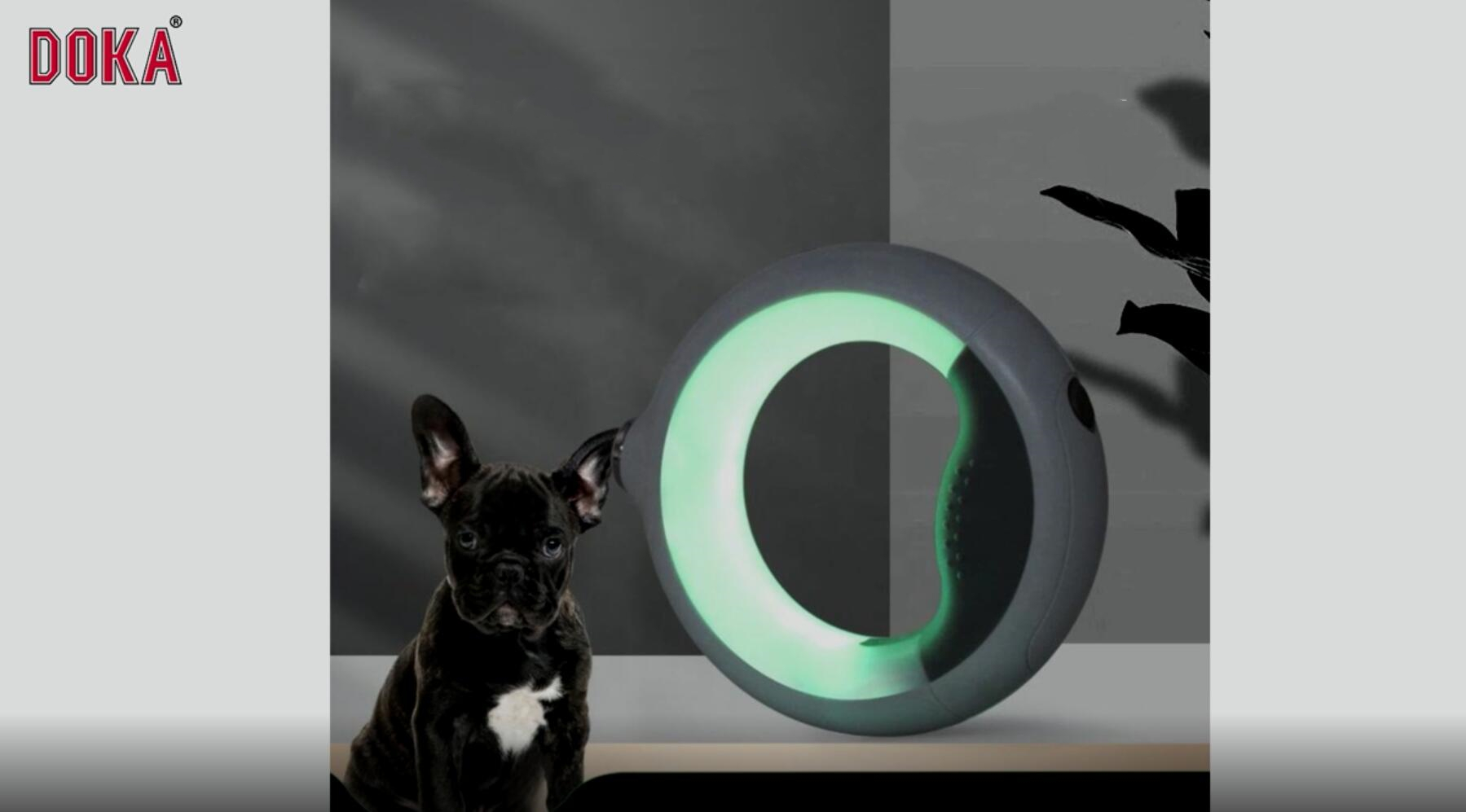 Tangle free heavy Duty reflective led light dog leash pet leash with built-in poop bag compartment