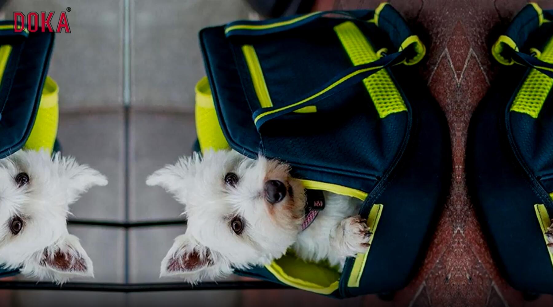 Airline approved soft sided portable pet cat carrier travel bag