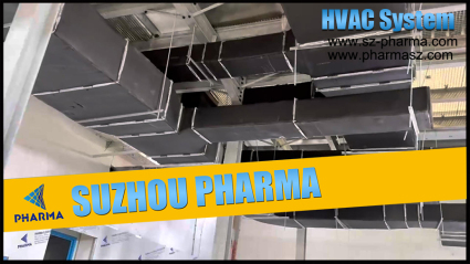 Suzhou Pharma Machinery Air Pipe Installation Explanation