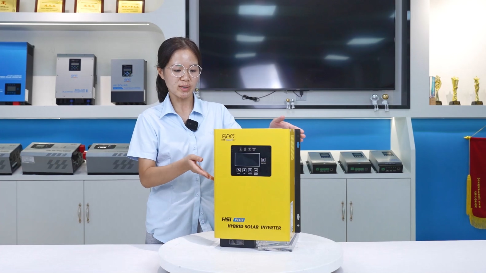Solar hybrid inverter 1kw 1200watt 24v 12v 220v with mppt solar charge