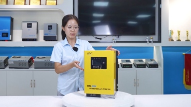Solar hybrid inverter 1kw 1200watt 24v 12v 220v with mppt solar charge