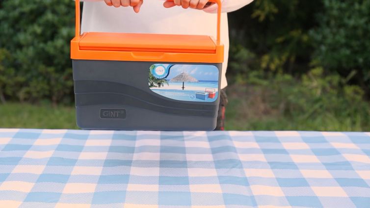small cooler box, ice cooler chest, insulated ice cooler