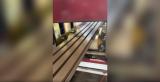 U-Timer WPC Decking