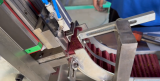 Flap wheel cutting machine