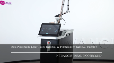 Newangie 450ps Professional Picosecond Laser Machine